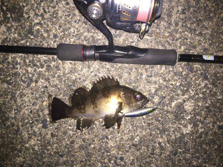 仕事帰りライトゲーム